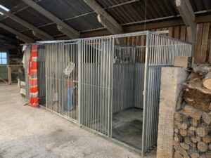 Dog pens